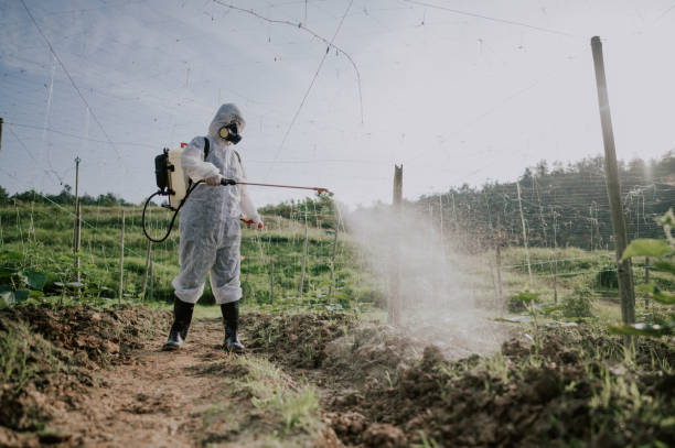 Best Best Pest Control Companies  in Schulenburg, TX