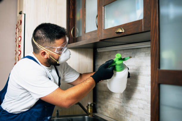 Best Pest Control Near Me in Schulenburg, TX