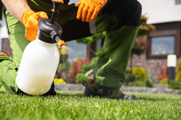 Best Mosquito Control Services  in Schulenburg, TX