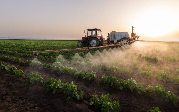 Best Wildlife Control Services  in Schulenburg, TX