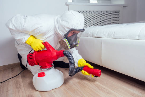 Best Pest Removal Services  in Schulenburg, TX