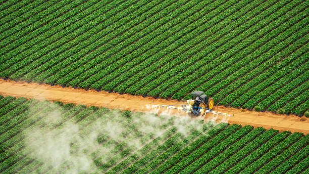 Best Commercial Pest Control Services  in Schulenburg, TX