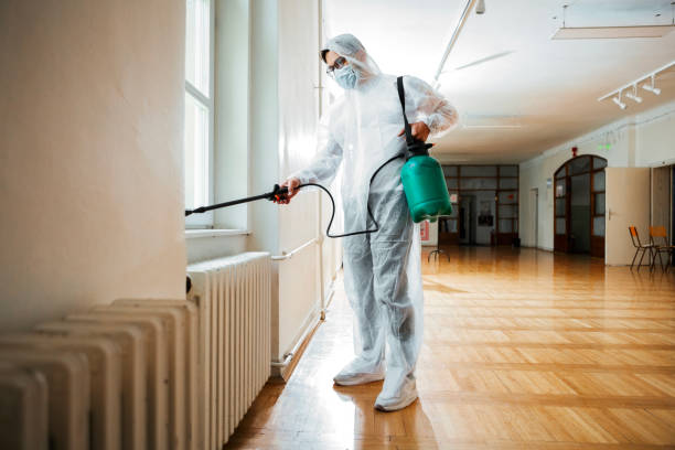 Best Affordable Pest Control Services  in Schulenburg, TX